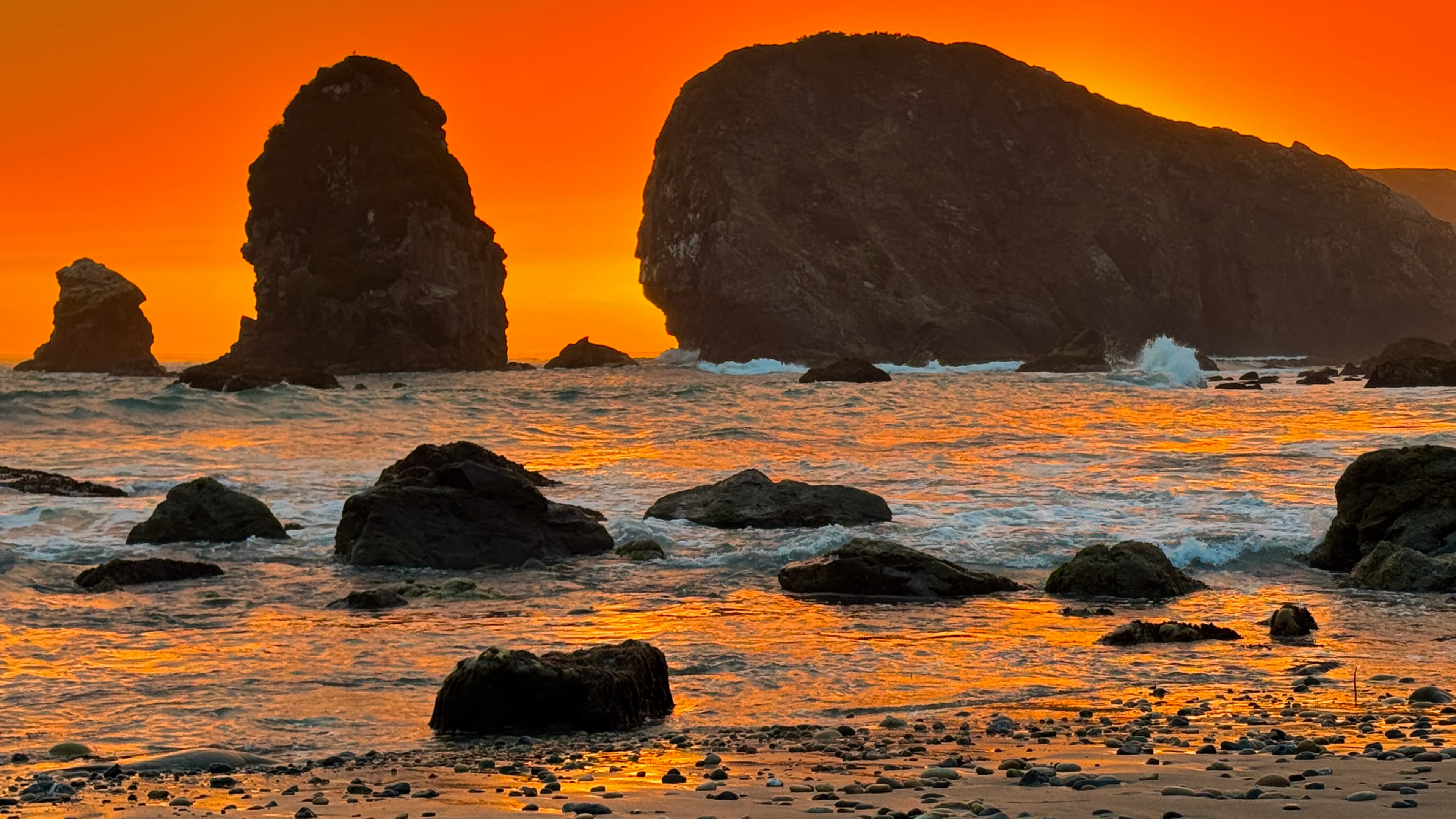 Harris Beach State Park