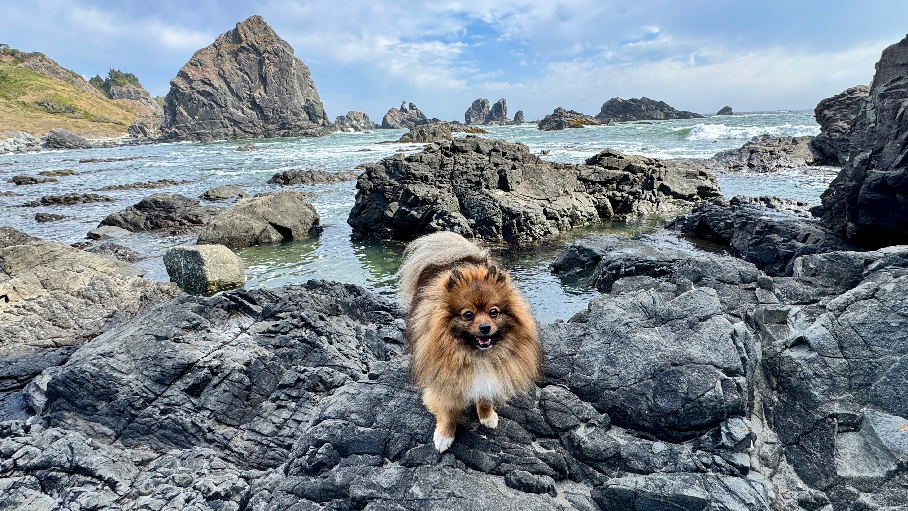 Lone Ranch Beach